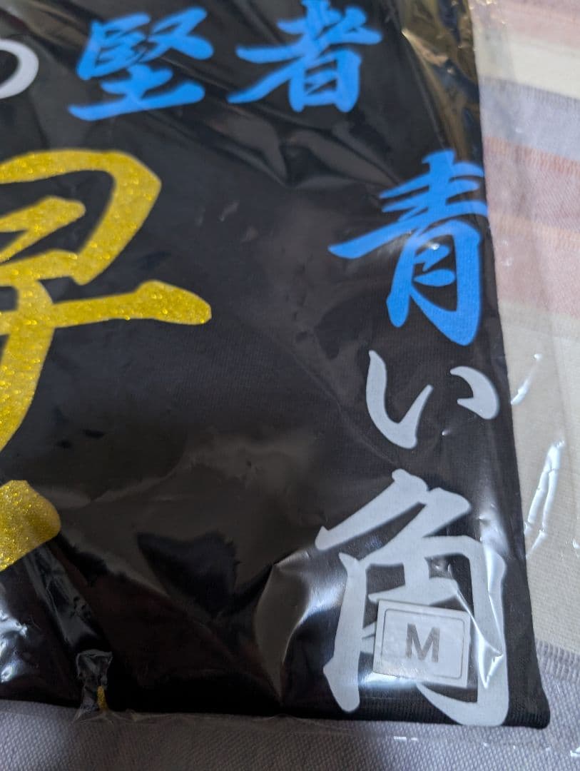 氣志團　焼津公演限定　早乙女光Tシャツ　Mサイズ　①