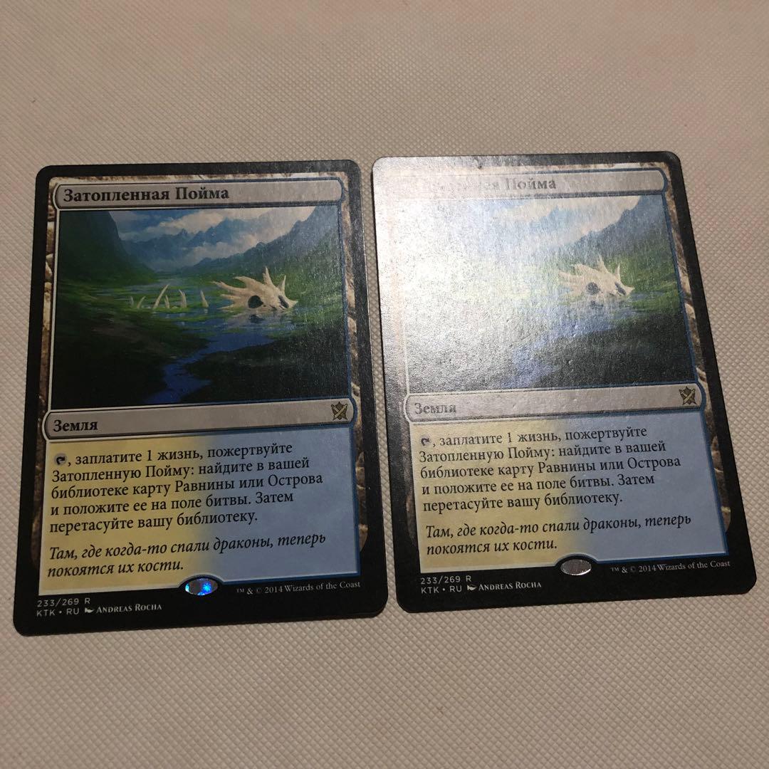 霧深い雨林 溢れかえる岸辺 汚染された三角州 mtg ロシア語 フェッチランド