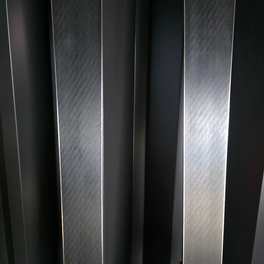 OGASAKA　オガサカ　TRIUN G 175cm レースモデル