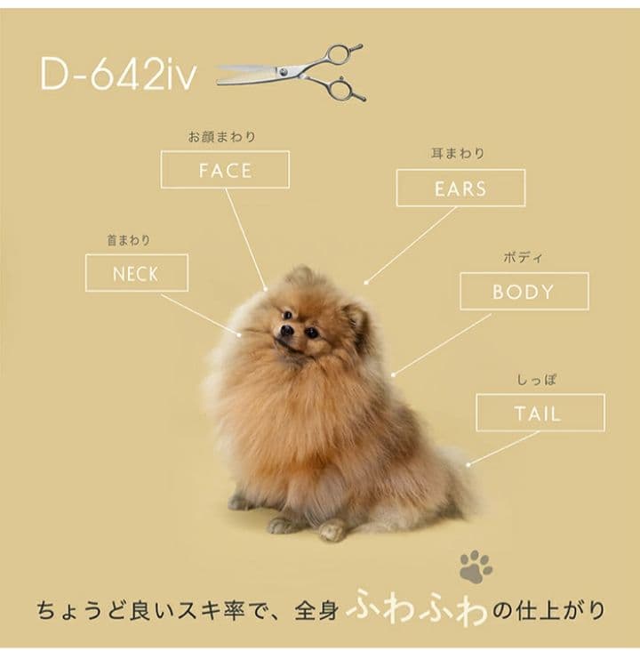 トリミング スキバサミ　D-642iv　セニング プロ用メガネハンドル