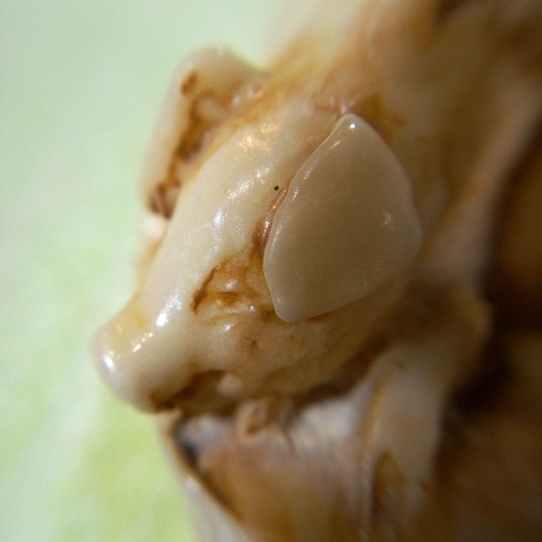 豚の置物　二匹の豚　フィギュア　オブジェ　ディスプレイ　アンティーク　レトロ