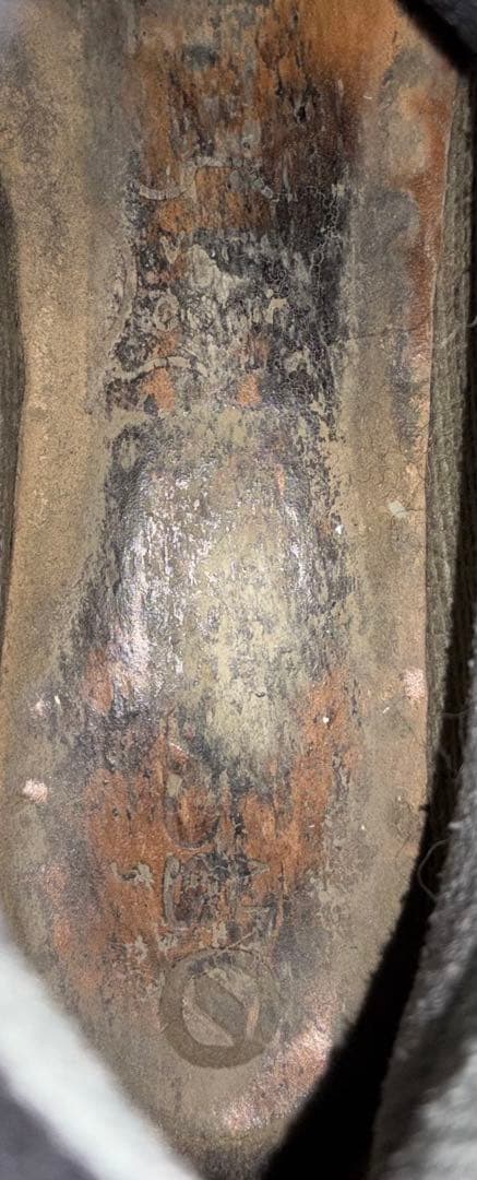 テレマークスキーブーツ　スカルパ　ローガン9