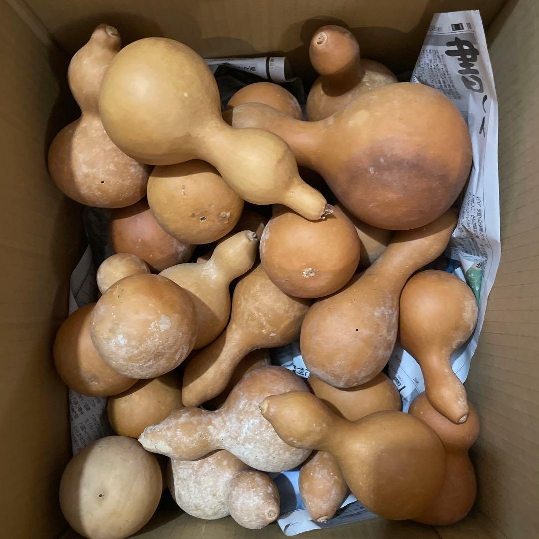 Toto★ひょうたん　瓢箪　千成瓢箪　まとめ売り　無病息災　置物　縁起物