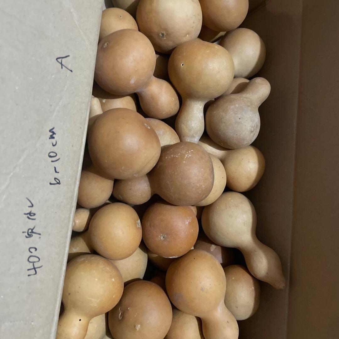 Toto★ひょうたん　瓢箪　千成瓢箪　まとめ売り　無病息災　置物　縁起物