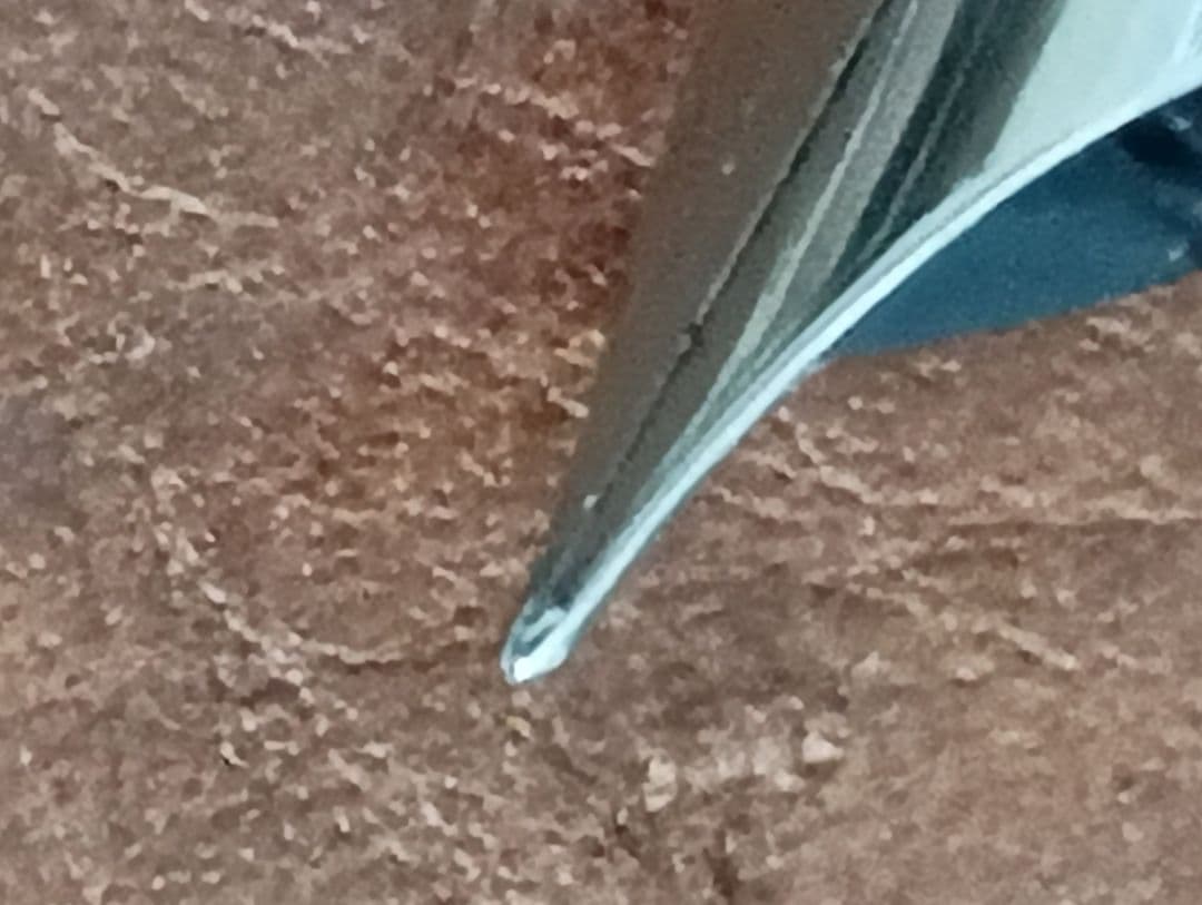 ペリカン　鉄ペン　吸引式　EF ヒナ２羽