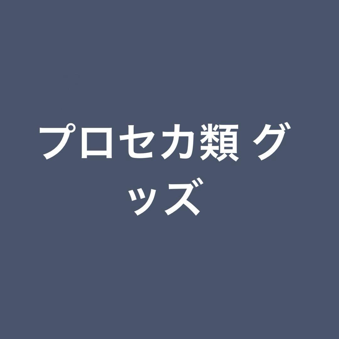 プロジェクトセカイカラフルステージ