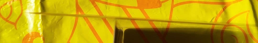 い*い様 レックウザex PROMO ポケモンカードプレイヤーズクラブ 029/