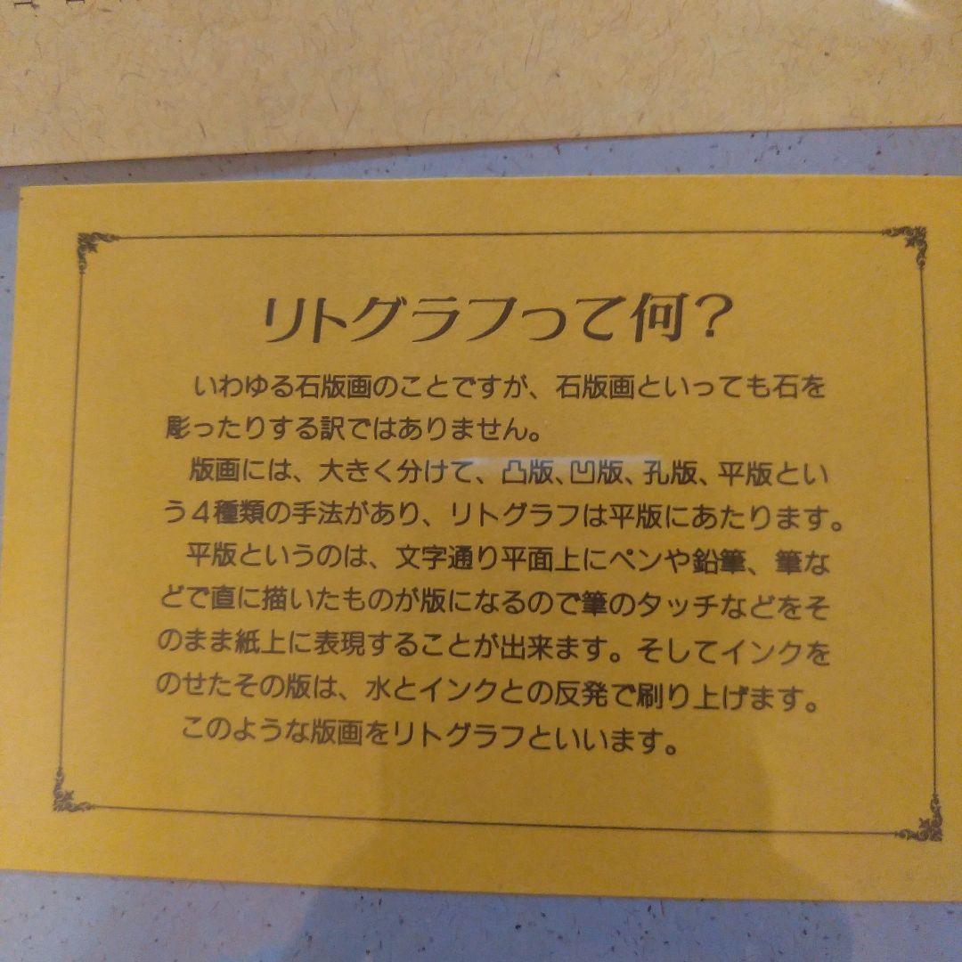 児玉幸雄　リト・コレクション　ムフタール広場