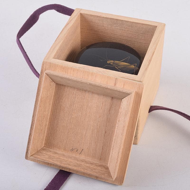 茶道具　輪島塗　文化功労者　三谷吾一作　虫沈金　棗　共布共箱　Y　R8856