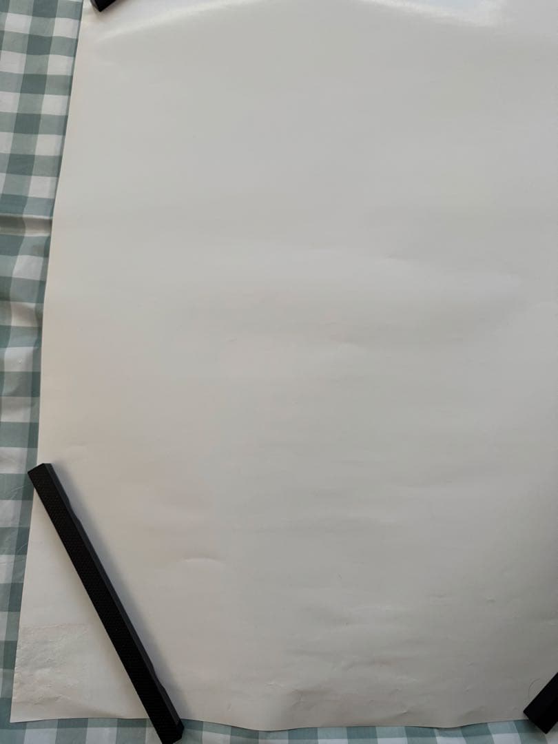 The Biscats 2023年ツアー　非売品 B2 ポスター