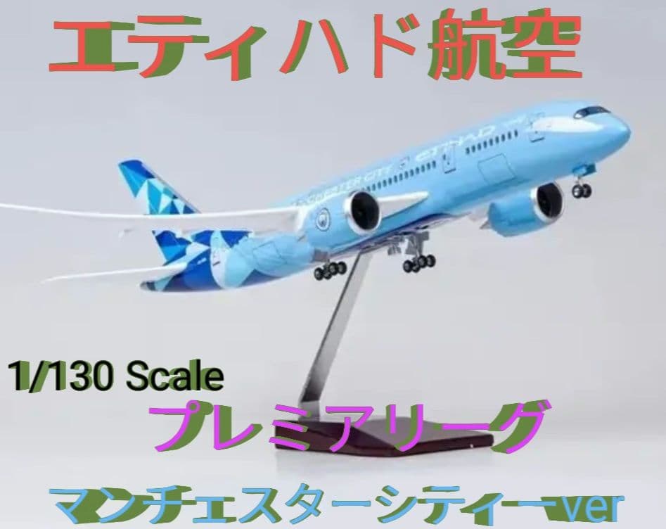 ろくさん専用プレミアリーグ／マンチェスターシティ