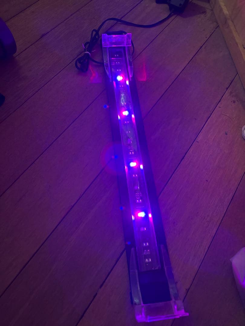 水槽セット フィルターマット 産卵ボックス　まとめ売り