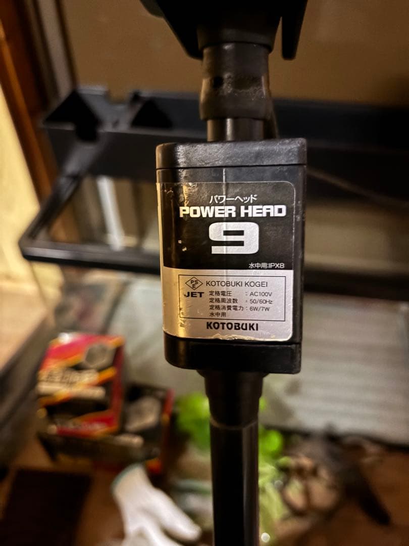 水槽セット フィルターマット 産卵ボックス　まとめ売り