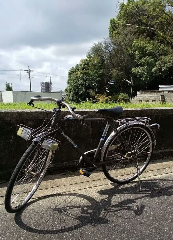 楽*い様 丸石　ヤングホリデー