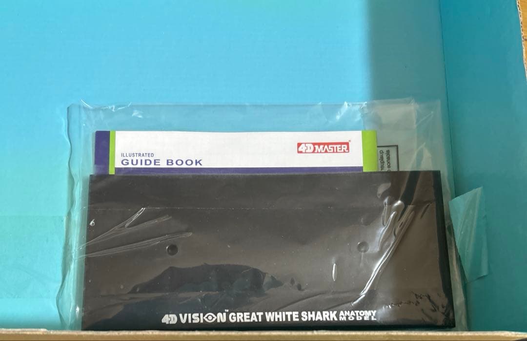4Dビジョン ホホジロザメ 解剖モデル Great White Shark