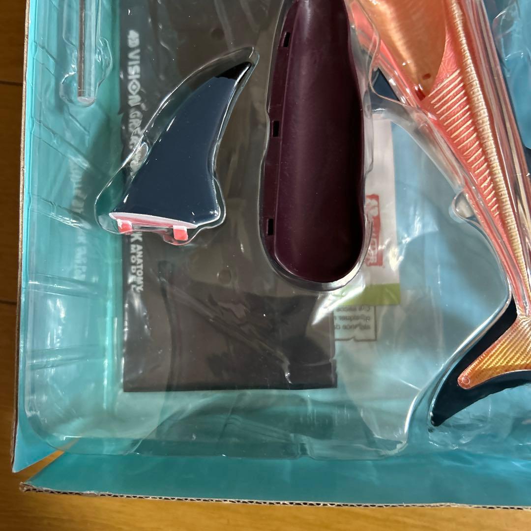 4Dビジョン ホホジロザメ 解剖モデル Great White Shark