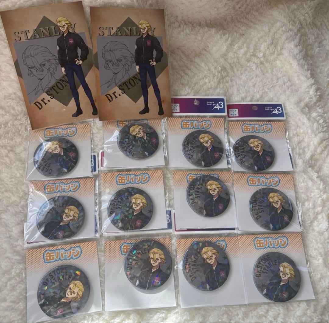 Dr.STONE スタンリー スナイダー フライトジャケット 缶バッジ