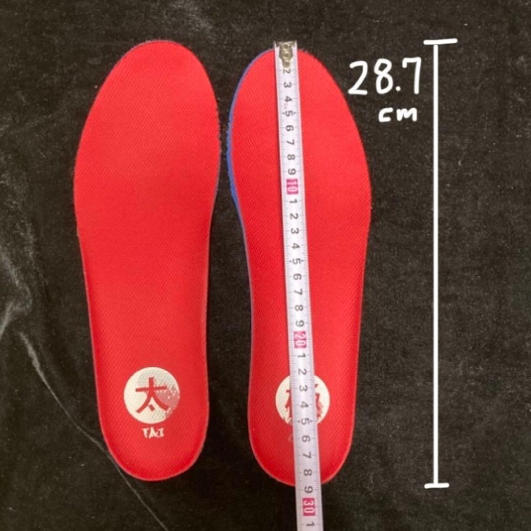 28cm タイチミッド and1