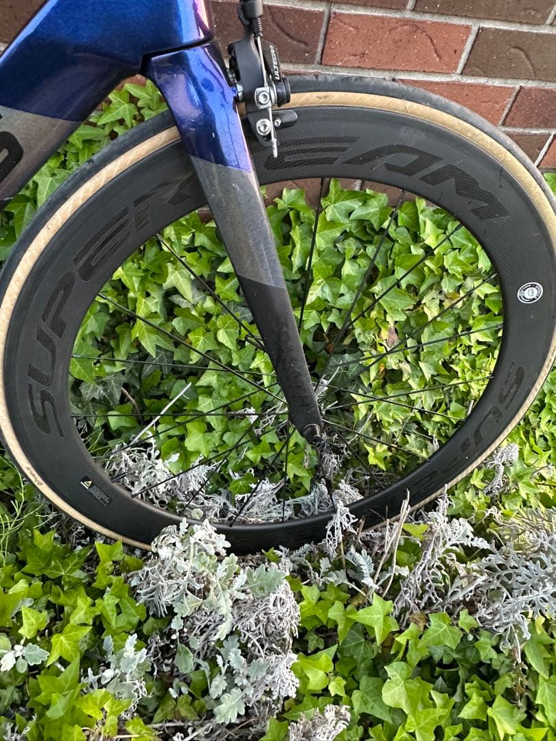 ELEVS FALATH PRO ファラスプロ　完成車