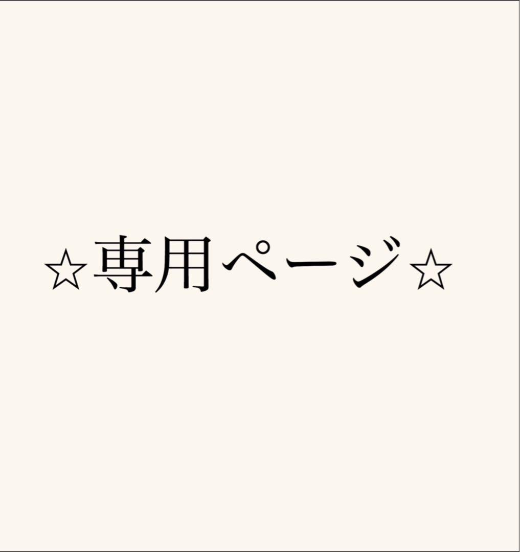 エアバギー　イーバギー　オーガナイザー＆イーバギーホルダー