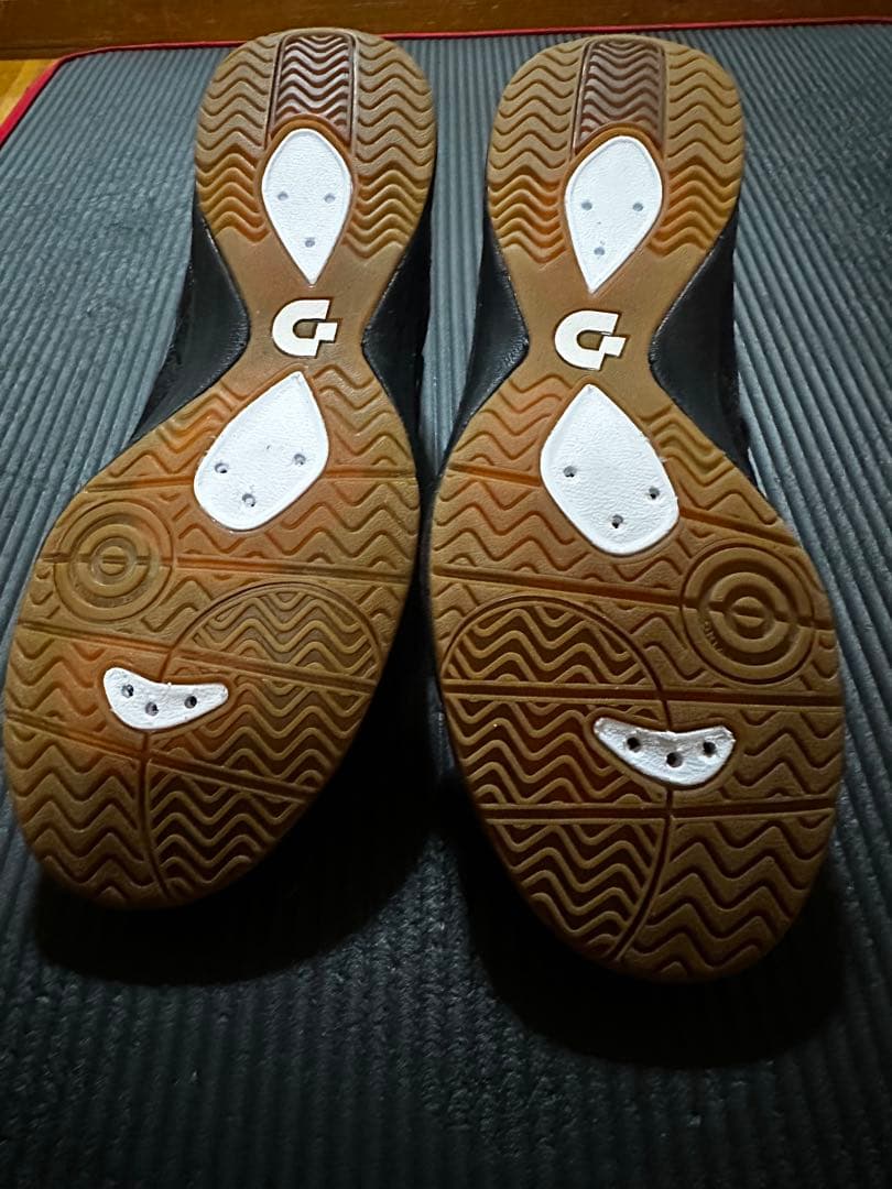 デスポルチ別注　25.5 150足限定