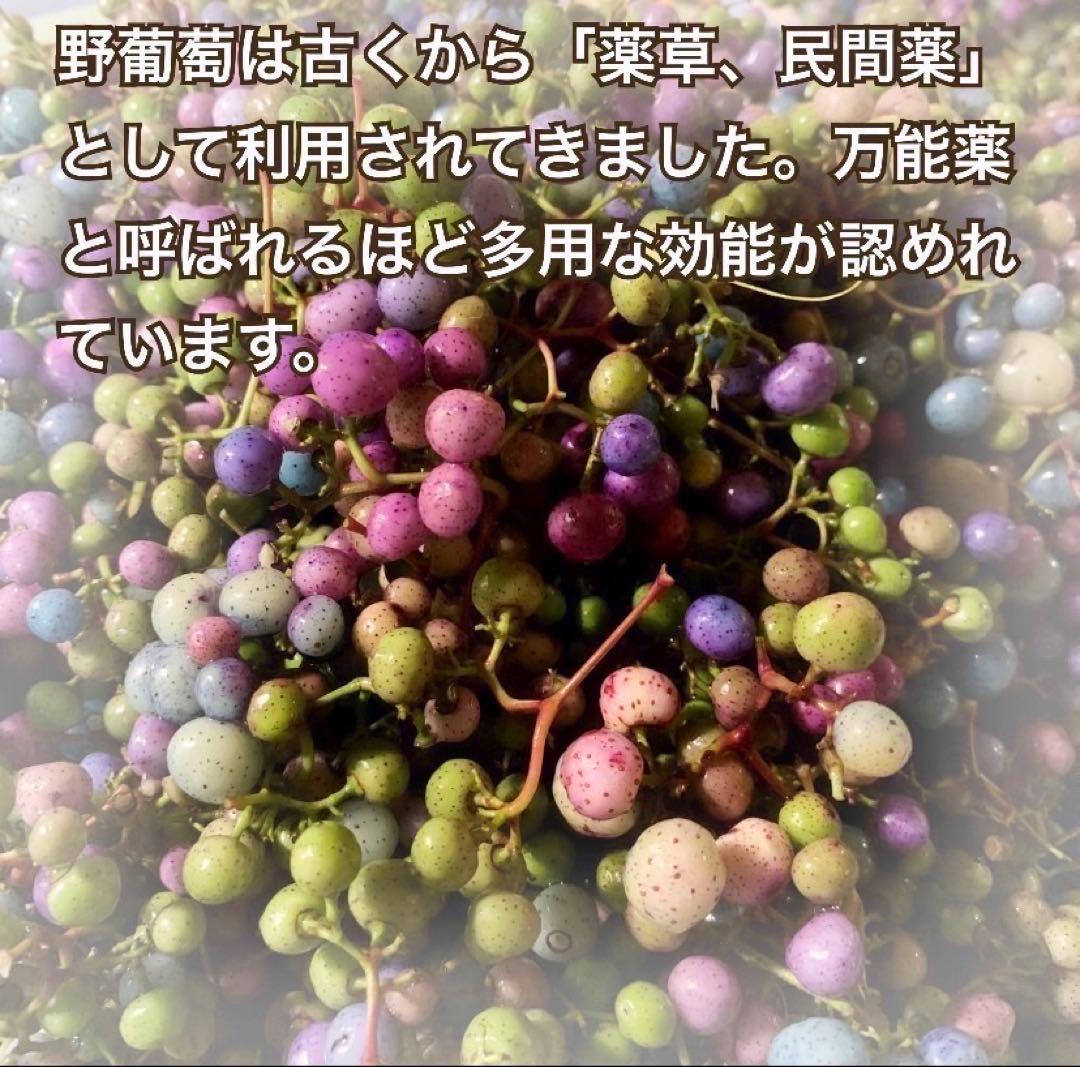 【大容量】馬ぶどう250g×12袋　1年分3kg うまぶどう　薬膳　民間療法