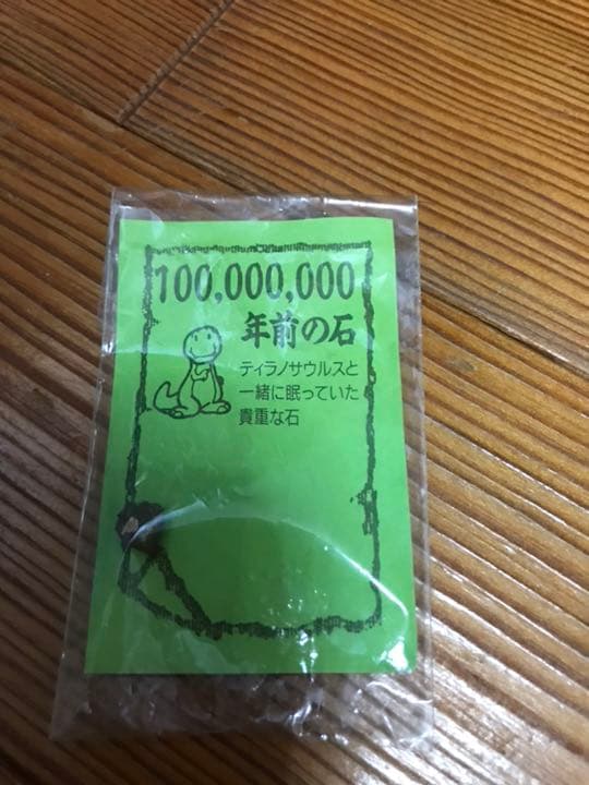 1億年前の石 恐竜 化石 ティラノサウルス
