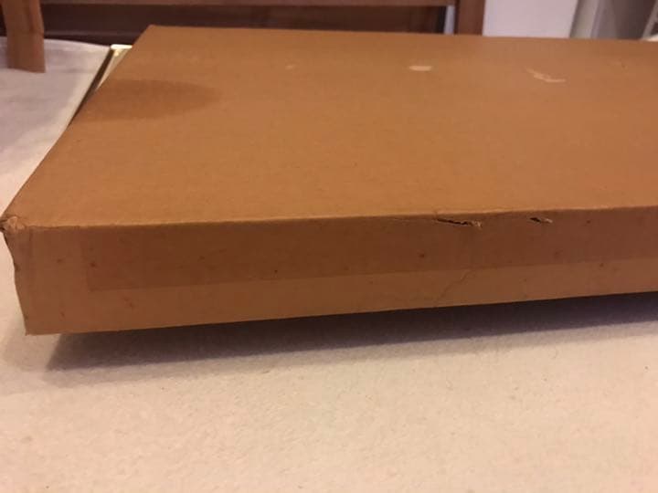 カールバークス　ゴールデンフリース　ドナルド　ディズニー　版画