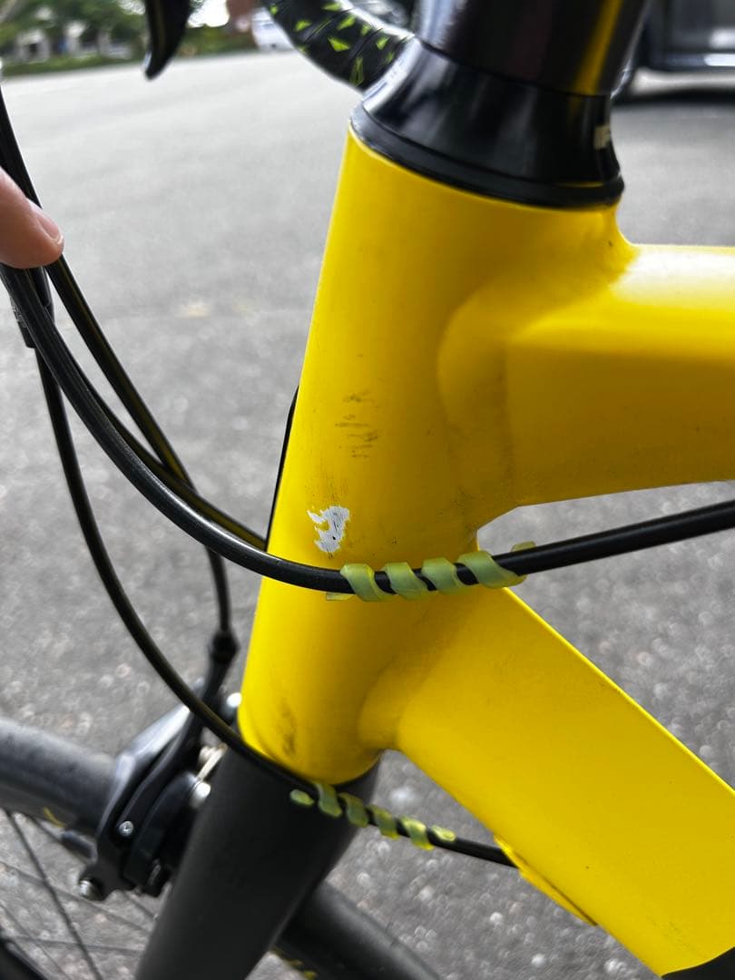 【シシジコ】tern surge PRO/ミニベロ/自転車/52サイズ