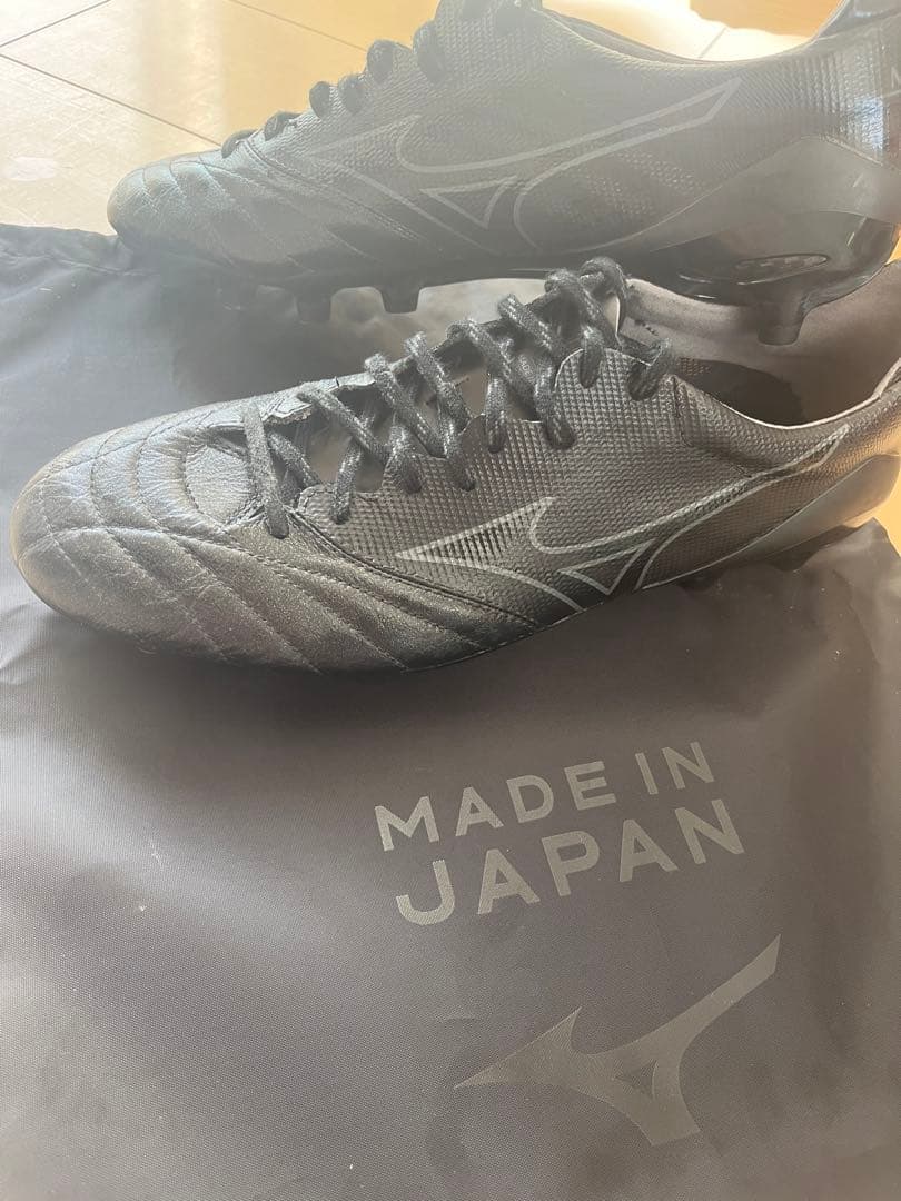 モレリアネオ2β