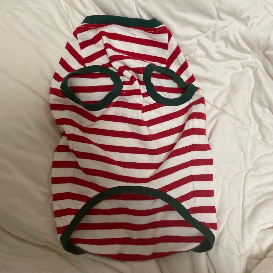 Gucci いちご刺繍 ストライプ柄 犬服 約40cm 新品タグ付き