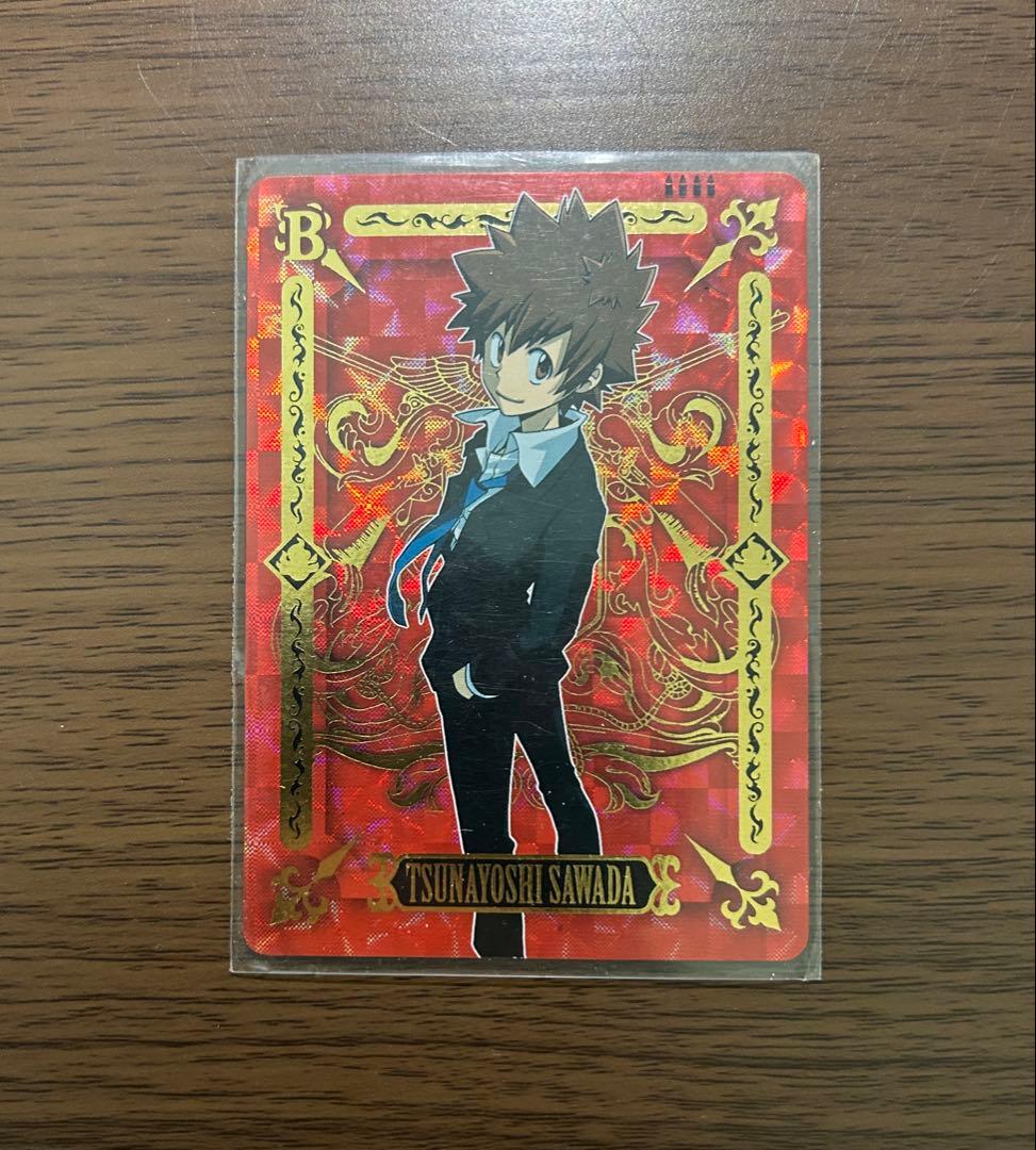 家庭教師ヒットマンREBORN 沢田綱吉 最高レアリティ サザンクロスバトル