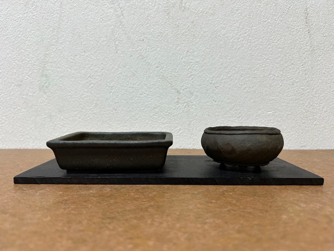 暁雲　盆栽鉢　ミニ盆栽　小品盆栽　山野草