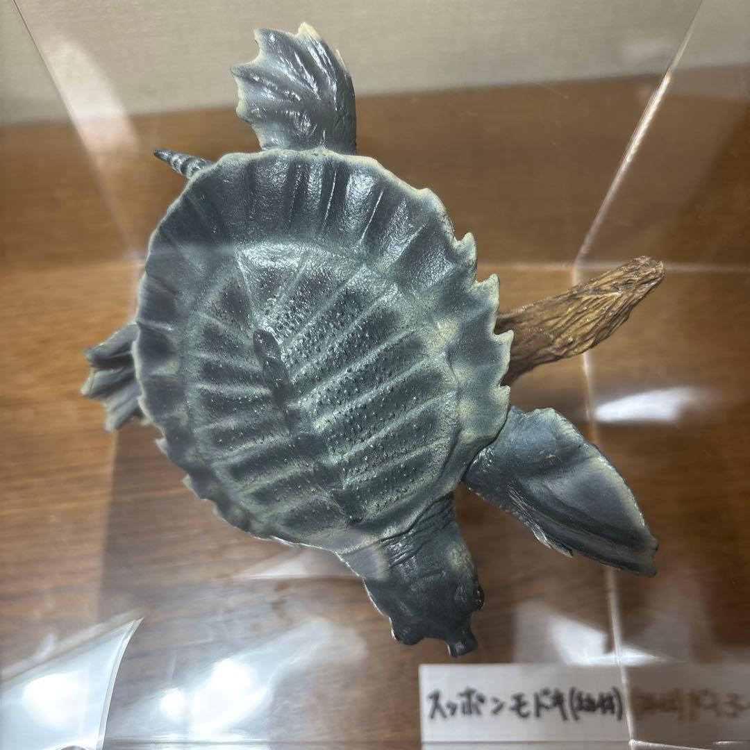 スッポンモドキ フィギュア ネイチャーテクニカラー