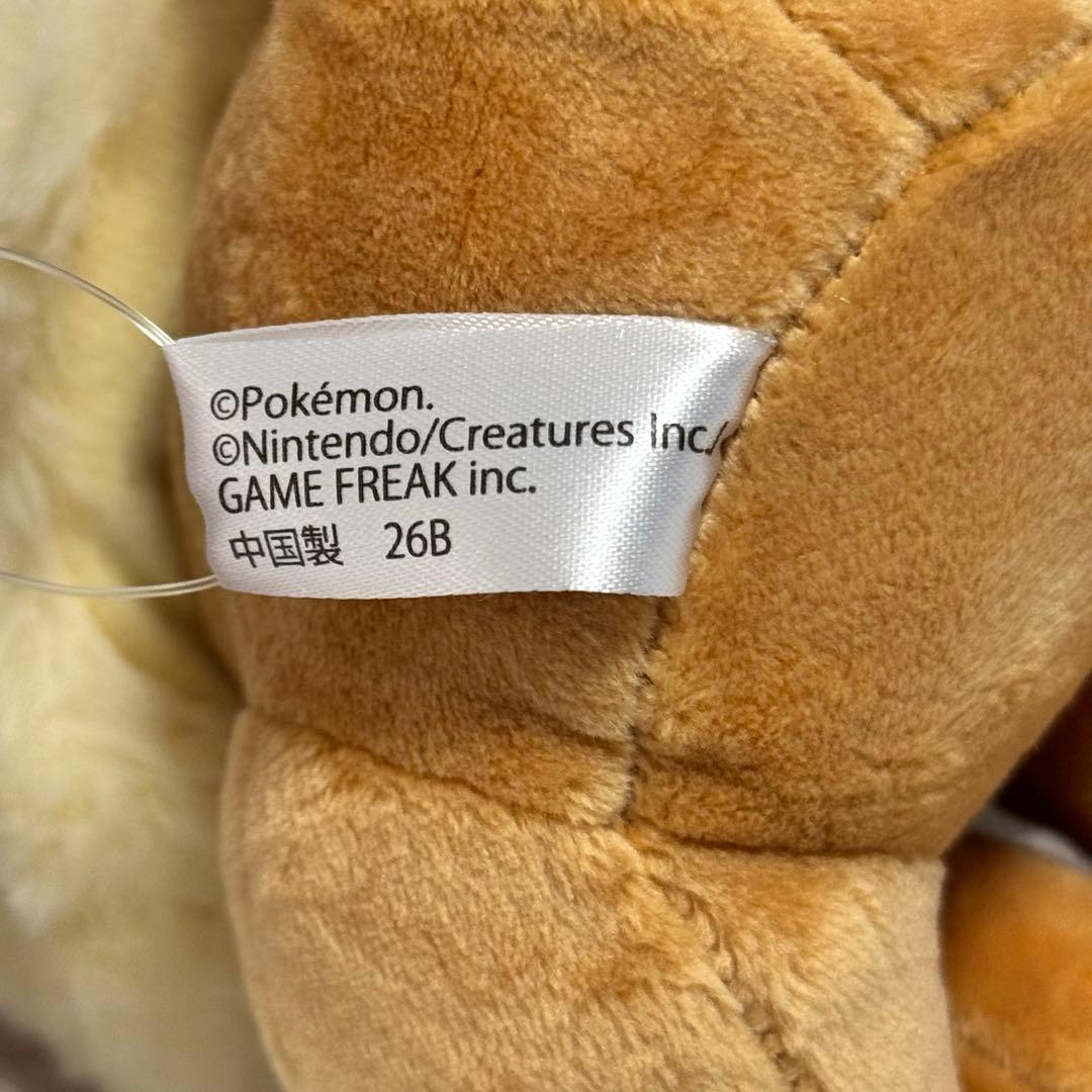 ポケパーク カントー イーブイ ぬいぐるみ 2種セット 限定