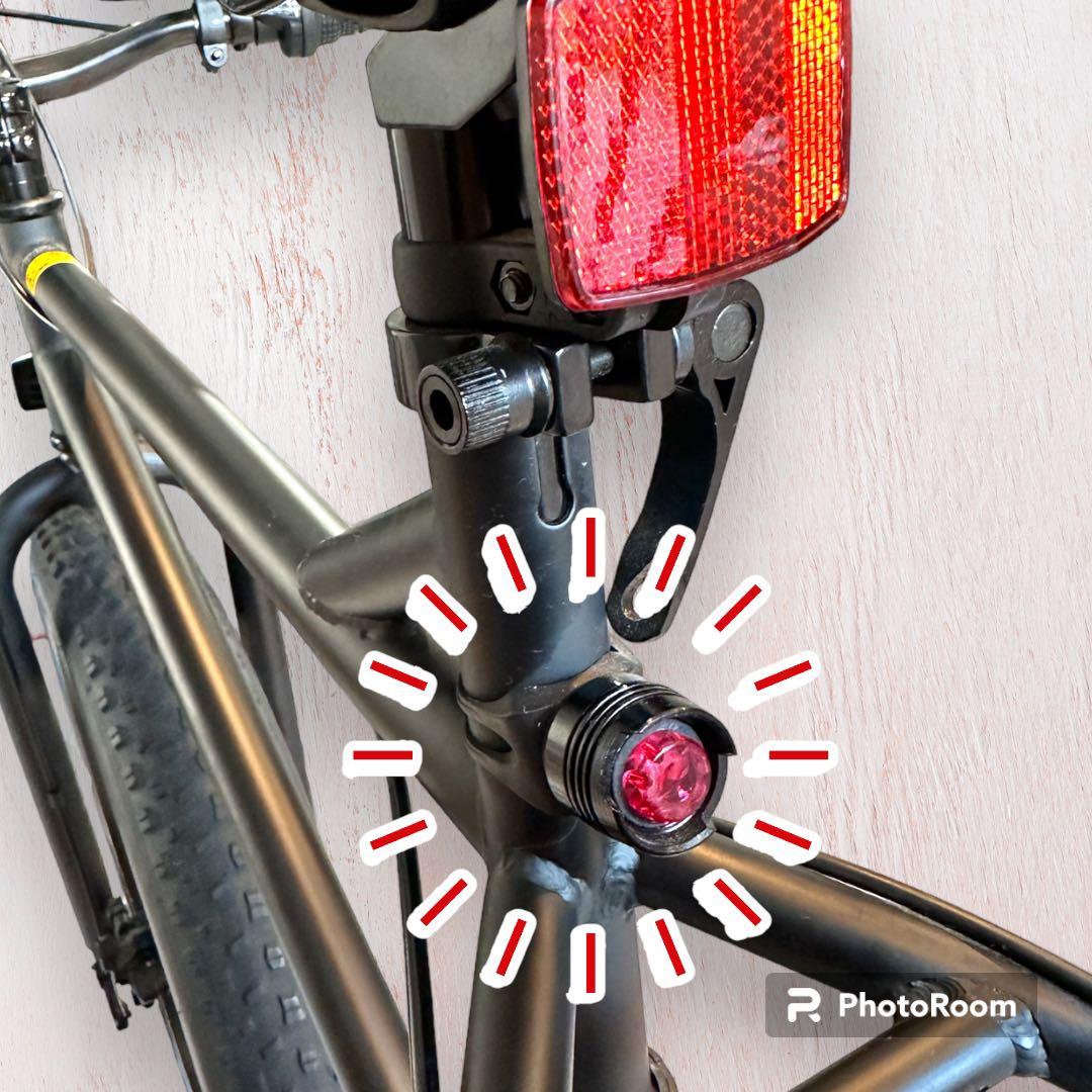 petit oiseau(プチオワゾ) ファットバイク　26インチ