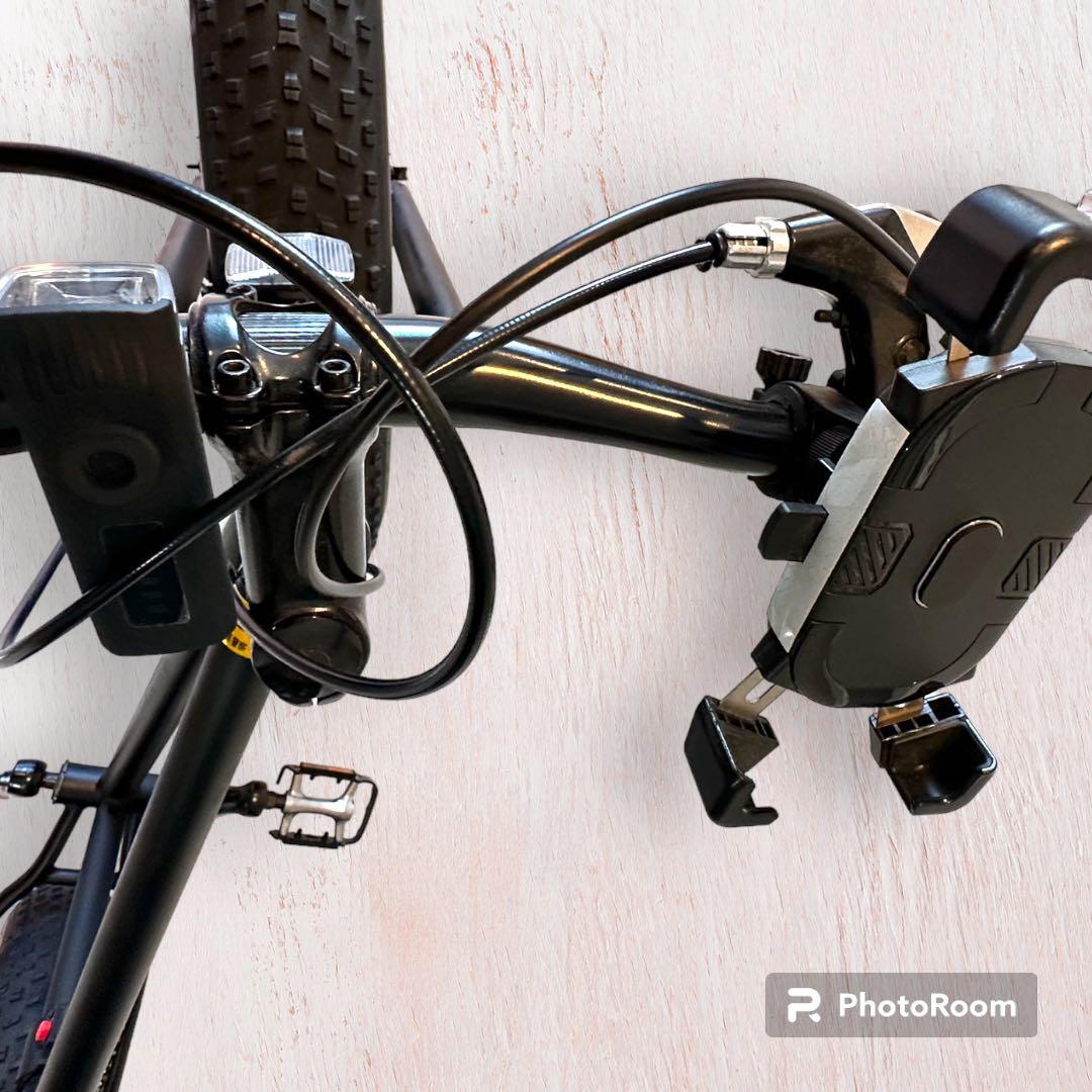 petit oiseau(プチオワゾ) ファットバイク　26インチ