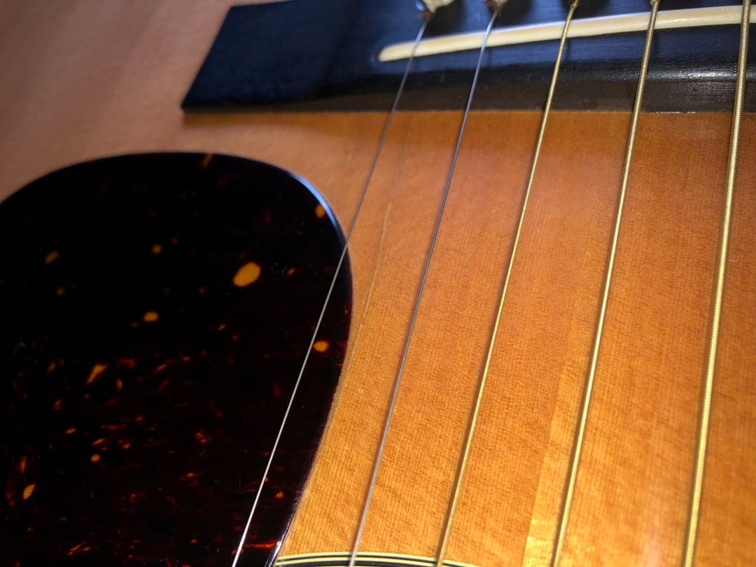 Tokai Cat's Eyes CE-1000S 81年製　ハードケース付