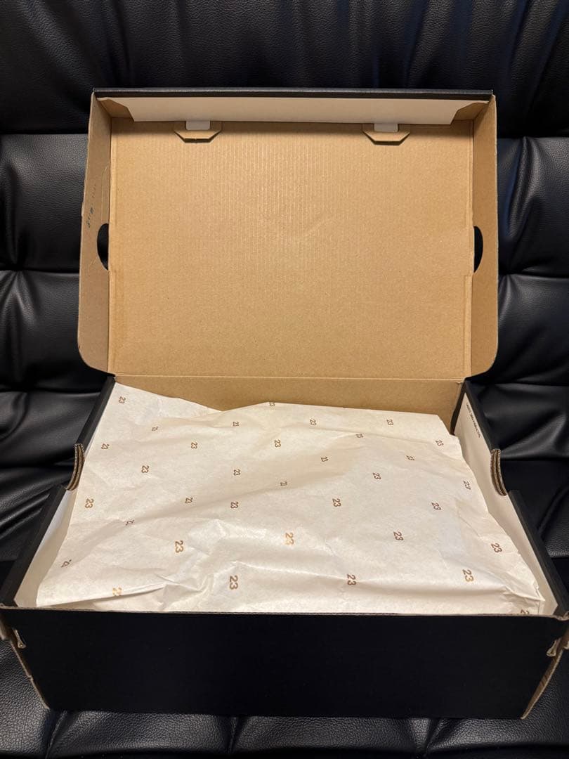 【美品・箱付き】NIKE AIR JORDAN 10 ORLANDO 25cm