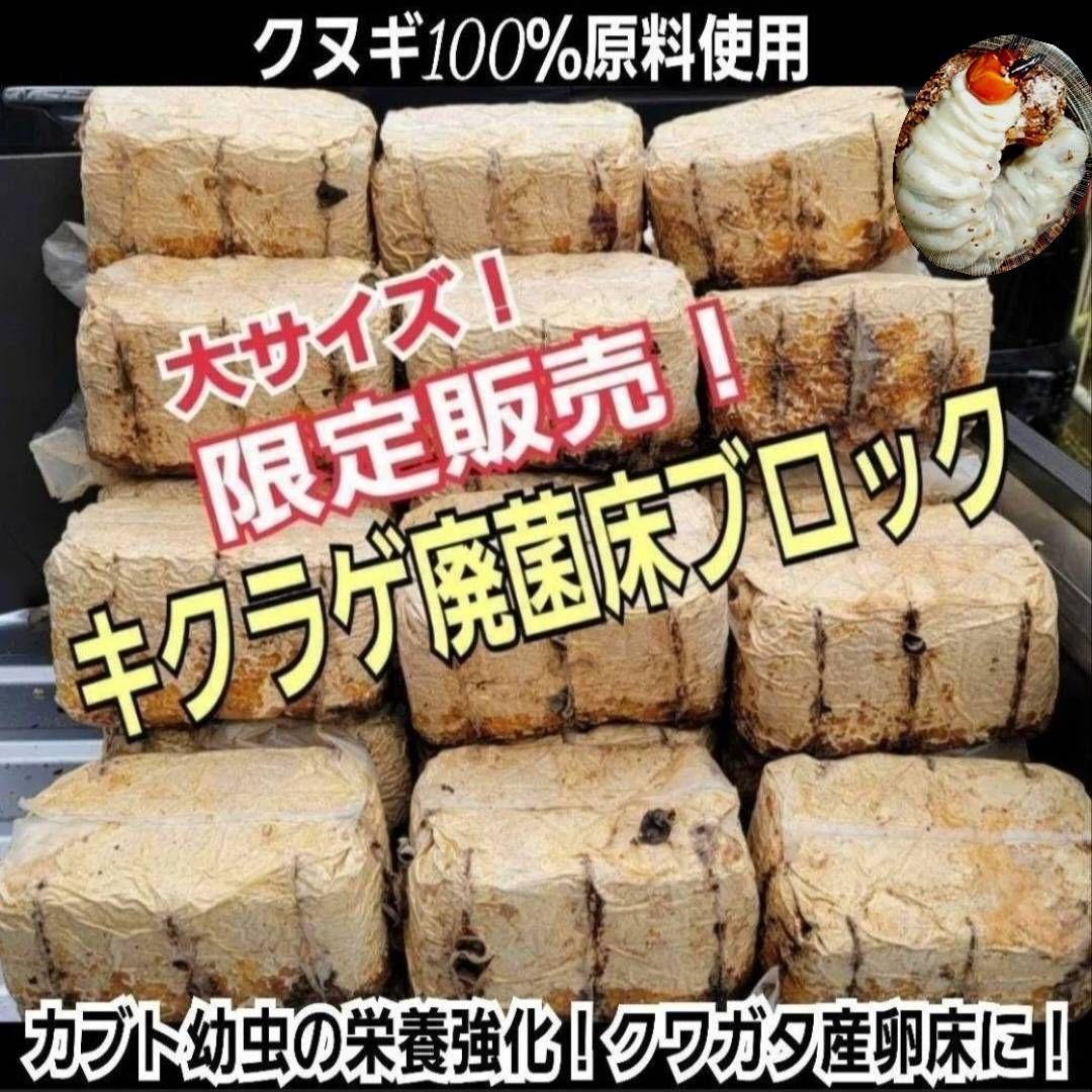 カブトムシ幼虫の栄養強化に抜群！マットに埋めるだけ！キクラゲ菌床ブロック　25個