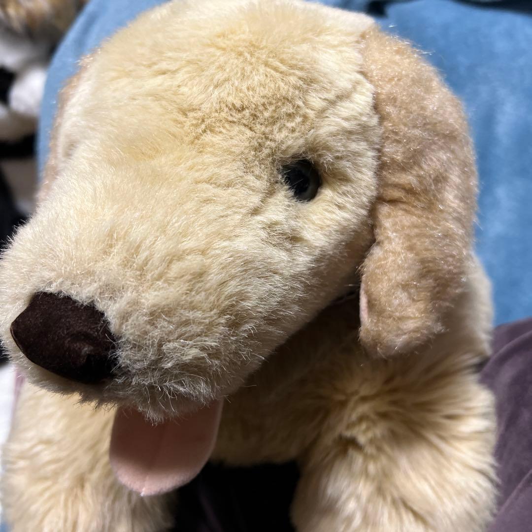 吉徳　ゴールデンレトリバー　ぬいぐるみ　BIGサイズ　Lサイズ　かわいい　ペット