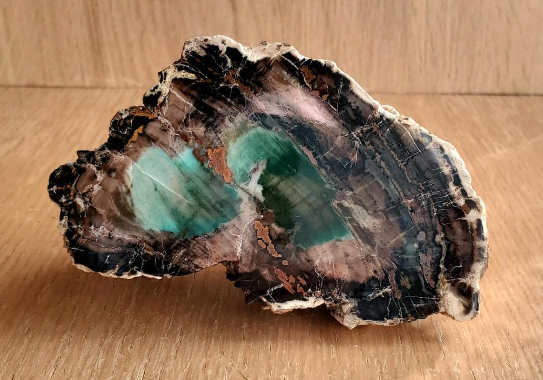 【コレクターズアイテム】オパライズドウッド／クリソコラ
