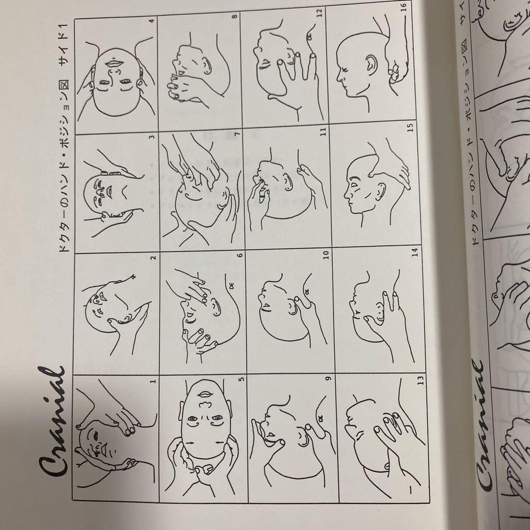 S O T クラニアルスタディガイド クラニアル参加者ガイド　まとめて2冊