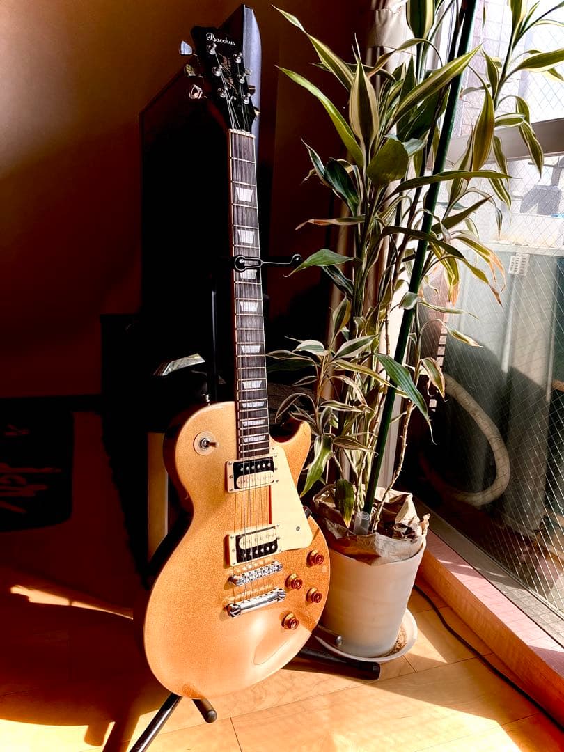 ★超美品★Bacchus/バッカス BLP-STD ZB/HB GT