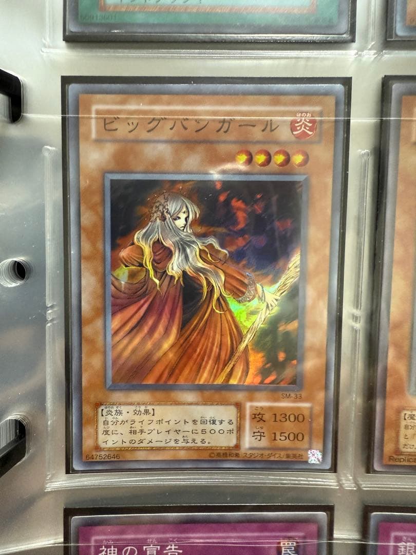 遊戯王OCG カードコレクション　引退品