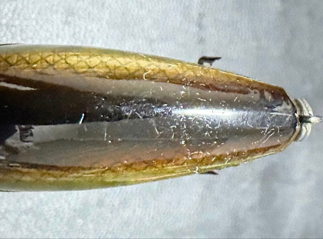 NORIES ショットオーバー3、4、5セット