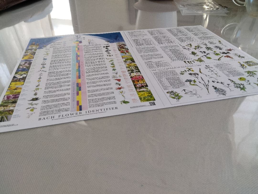 p.p.6本■ヒーリングハーブス社フラワーエッセンス■レスキューレメディー