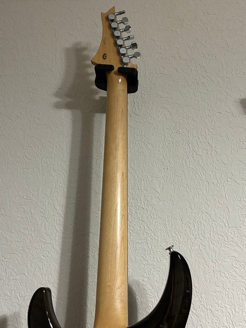 G-Life Guitars DSG Standard ギター