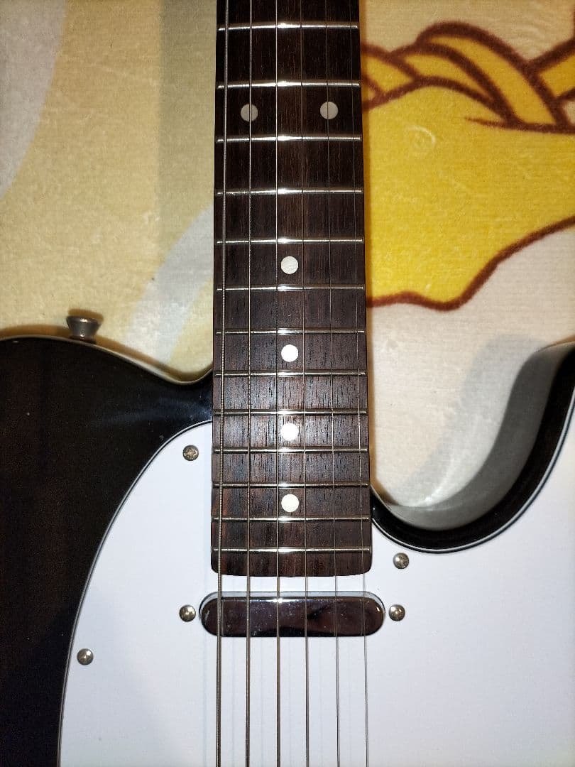 Bacchusバッカス テレキャスターBTE-1R/ブラック【トラ杢ネック】