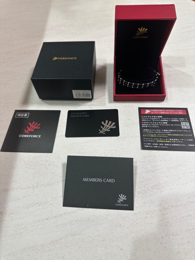 『とっち』さん専用　コアフォース ループ SUS CFL 70